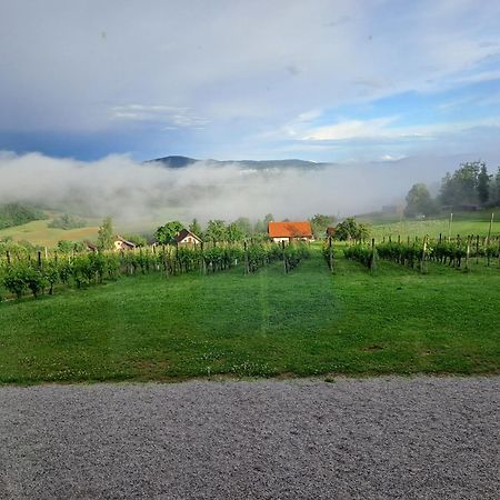 Pocitniska Hisa Parkfield Dragovan Metlika Bagian luar foto