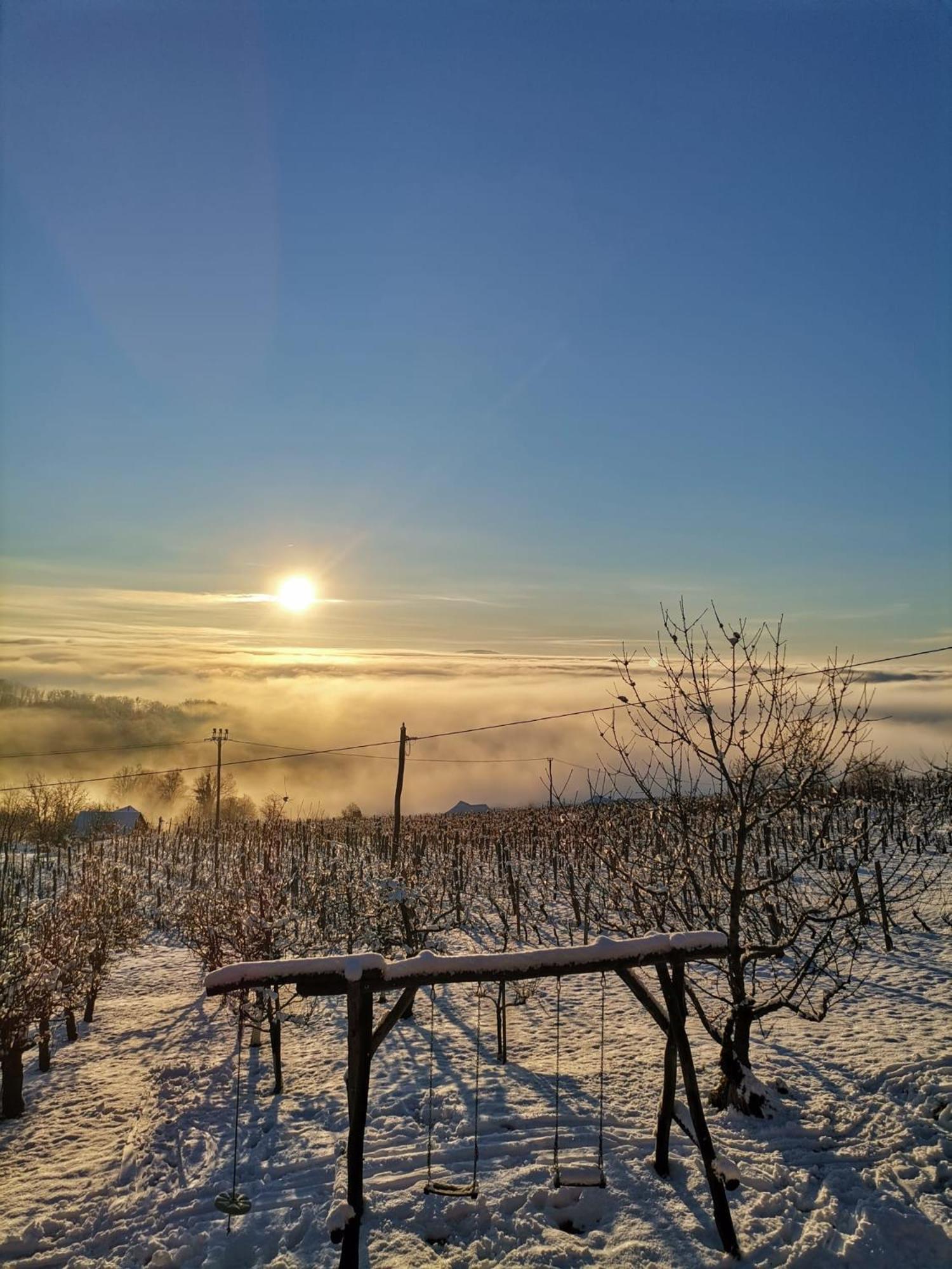 Pocitniska Hisa Parkfield Dragovan Metlika Bagian luar foto